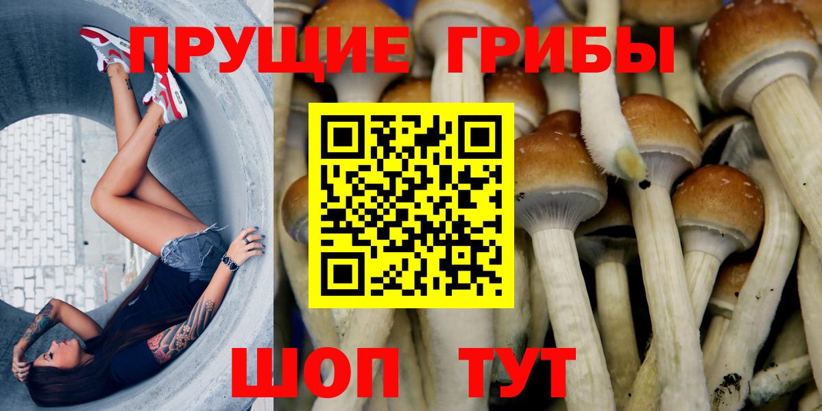 Галлюциногенные грибы Magic Shrooms  Вход с VPN  Галлюциногенные грибы GOLDEN TEACHER  Светлоград 